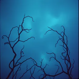 Tangled Hearts