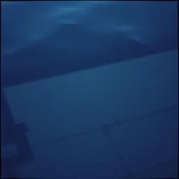 Fragments of a Nightmare