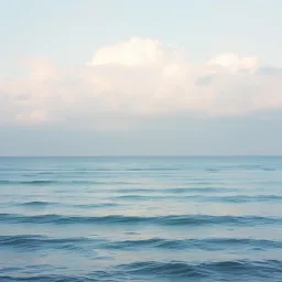 Saves Place
