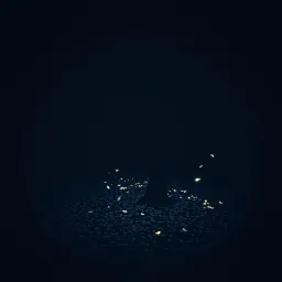 Echoes of Love and Loss