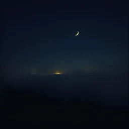 Midnight Whispers