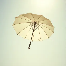 **《阳光下的你》