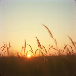 DABILIU