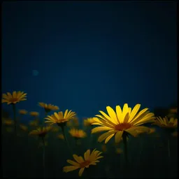 Olmaz böyle bir son