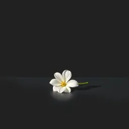 De-ași avea o floricică 5
