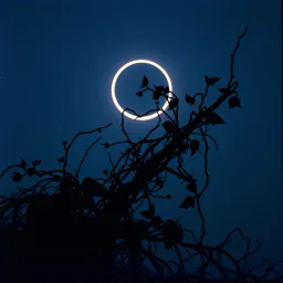 Forbidden Eclipse