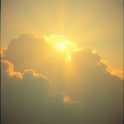 You are holy