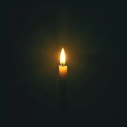 Das Echo der Zeit