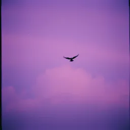 Whisper of Tomorrow