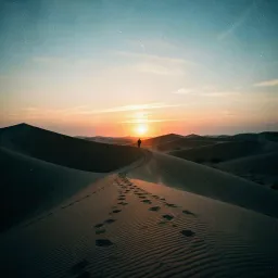 The Inheritance of Dust
