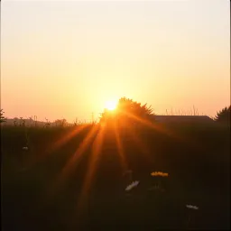 Good Morning God