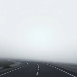 Into the gray