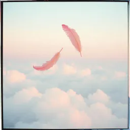 Feather