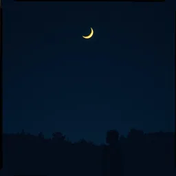 The Nightly Wonders