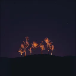 Die Hexen von Salem 