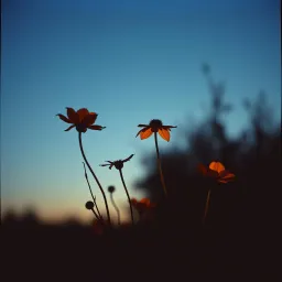 Unspoken love