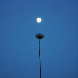 One Night to Forget