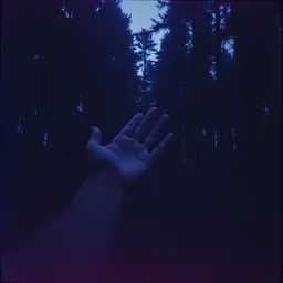 Through the Night