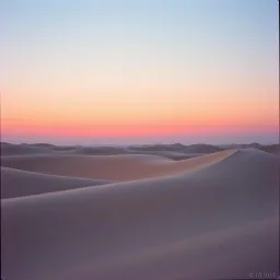 Desert Tears