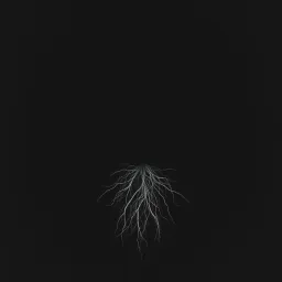 Black Hole Veins