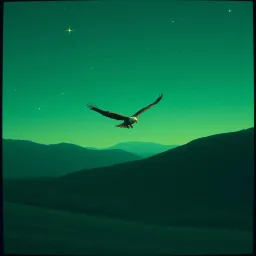 Beneath the Stars