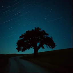 Lonely nights lonely roads