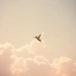 Faith on Fire
