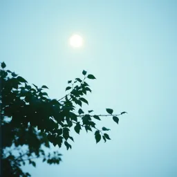 Chill Breeze