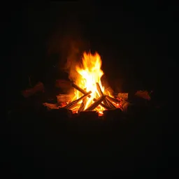 Friday Night