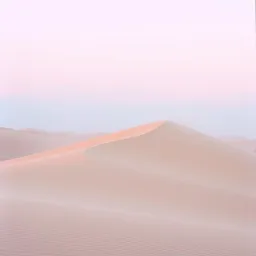 Alam
