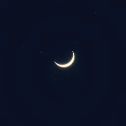 Starry Night