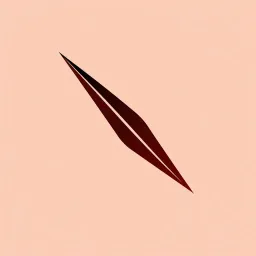 Kierunek