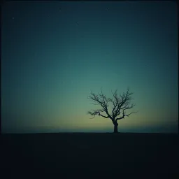 Ctimene's Lament