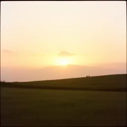 Not Alone