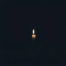 Cenere solo cenere