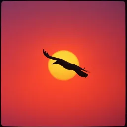 Fly with the Wings of a Raven