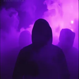 The Shadows