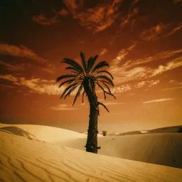 MACHI SAHEL (It’s not easy)