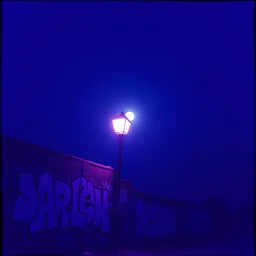La loi du svet