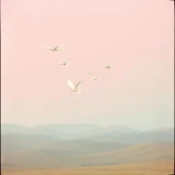 Bɔ abrabɔ pa