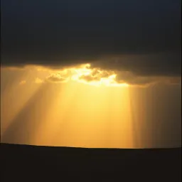 Life in Darkness