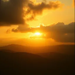 Sun After Rain