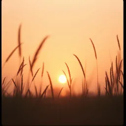DABILIU
