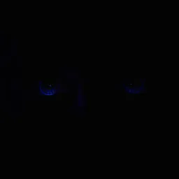 Tus Ojos