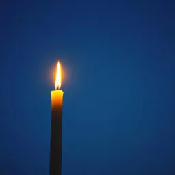 Shine, Jesus Shine