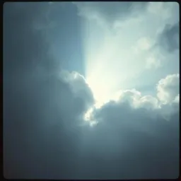 Light's Silence