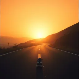 Run the race