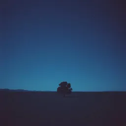 Solo