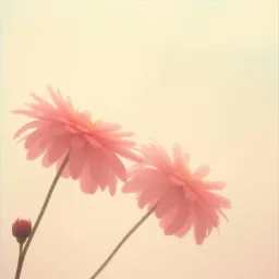 “Perfume Que Me Enloquece”