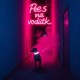 Pes na vodítku